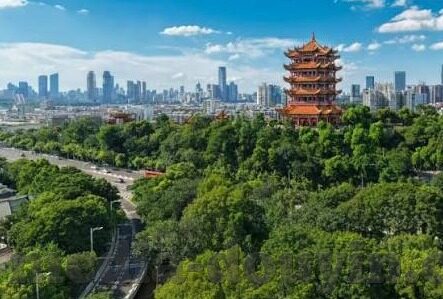 麻豆视频app官网-探索多元娱乐，了解麻豆视频App的独特魅力