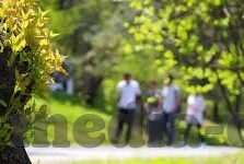 免费视频麻豆-免费视频麻豆，网络文化的双刃剑与新时代消遣现象浅析