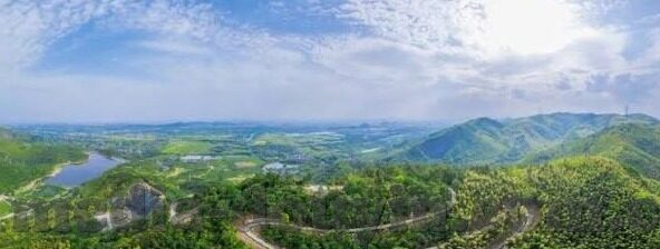 糖心app无限看苹果-深度洞察，解锁糖心APP的无限苹果观影体验